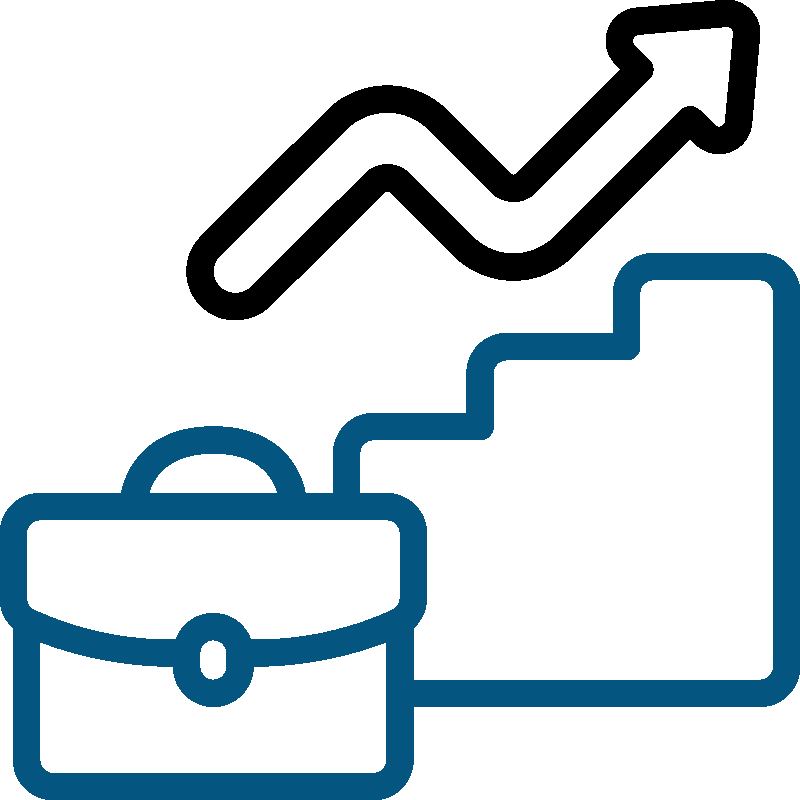 Upgrading Professional Skills